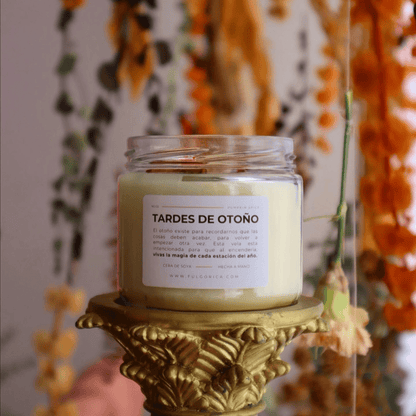 Vela aromática de soya Tardes de Otoño aroma a pumpkin spice 240 g